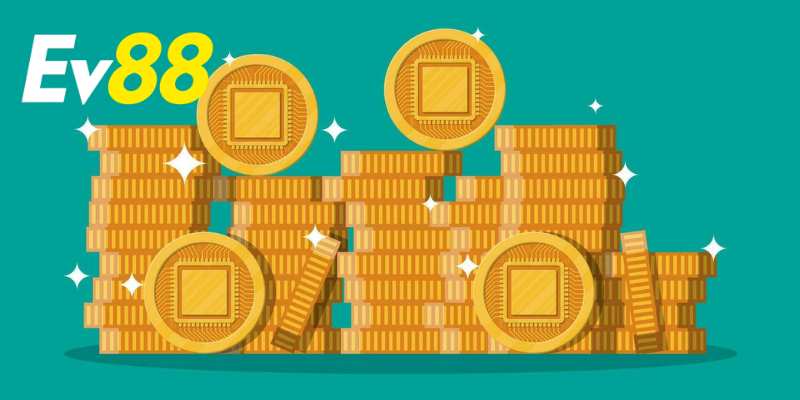 Bạn cần tuân thủ một số điều kiện và lưu ý quan trọng