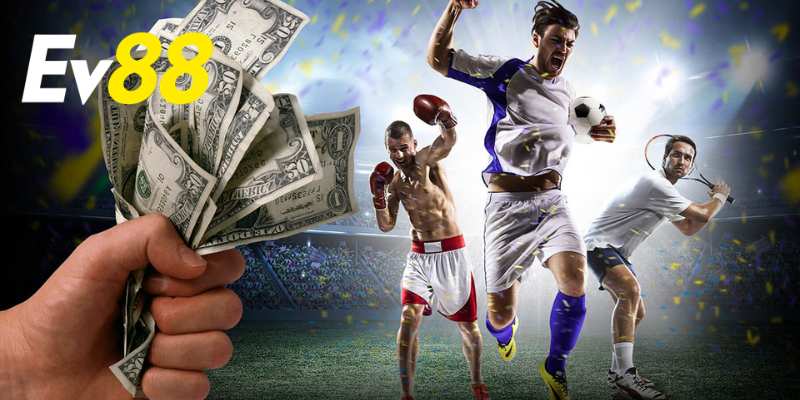 Cược Xuyên Suốt Trận Đấu – Phân Tích Sâu Chiến Lược Tối Ưu