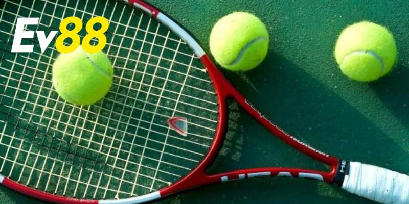 Kèo cược quần vợt có nhiều hình thức để lựa chọn