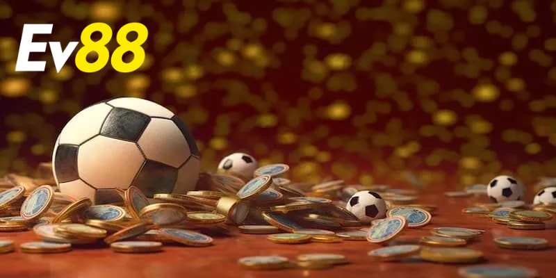 Người chơi cần có cách tiếp cận bảo hiểm phù hợp