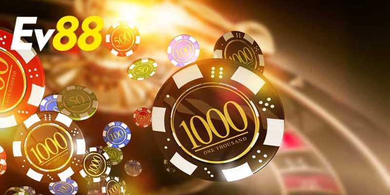 Thông tin giới thiệu sẽ làm rõ các lợi thế cạnh tranh