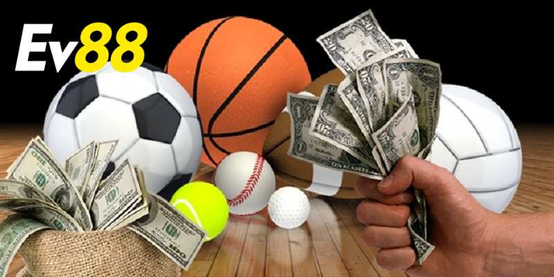 Xây dựng chiến lược để cược trong trận đấu hiệu quả